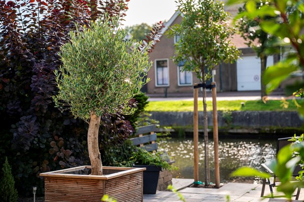 Medium property photo - Pottenbakkersstraat 8, 8701 EA Bolsward